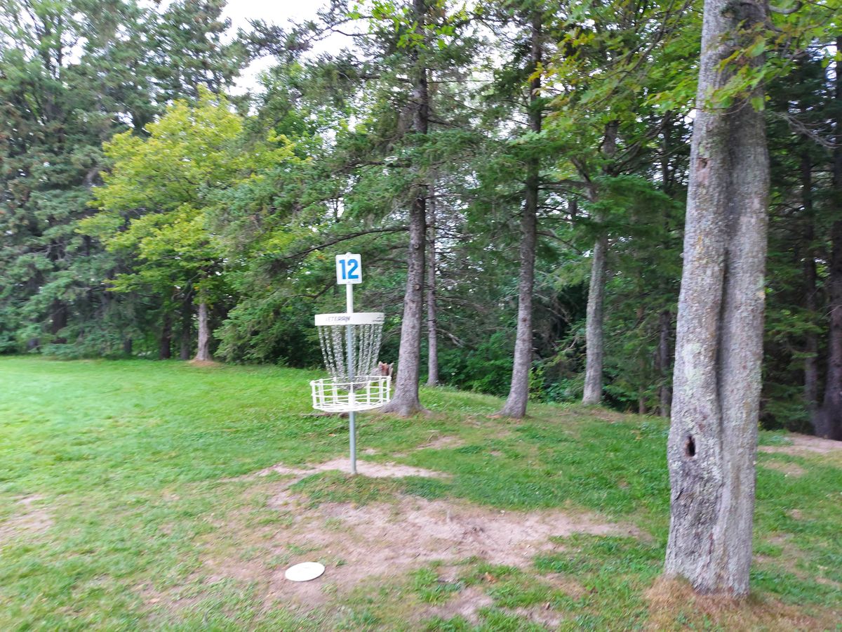 Putting on hole 12.🍁🌳🍁🌳