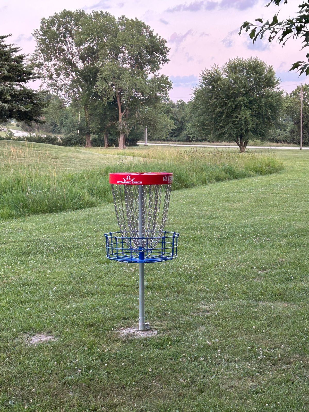Hole #7 B basket to tee pad look with OB tall grass