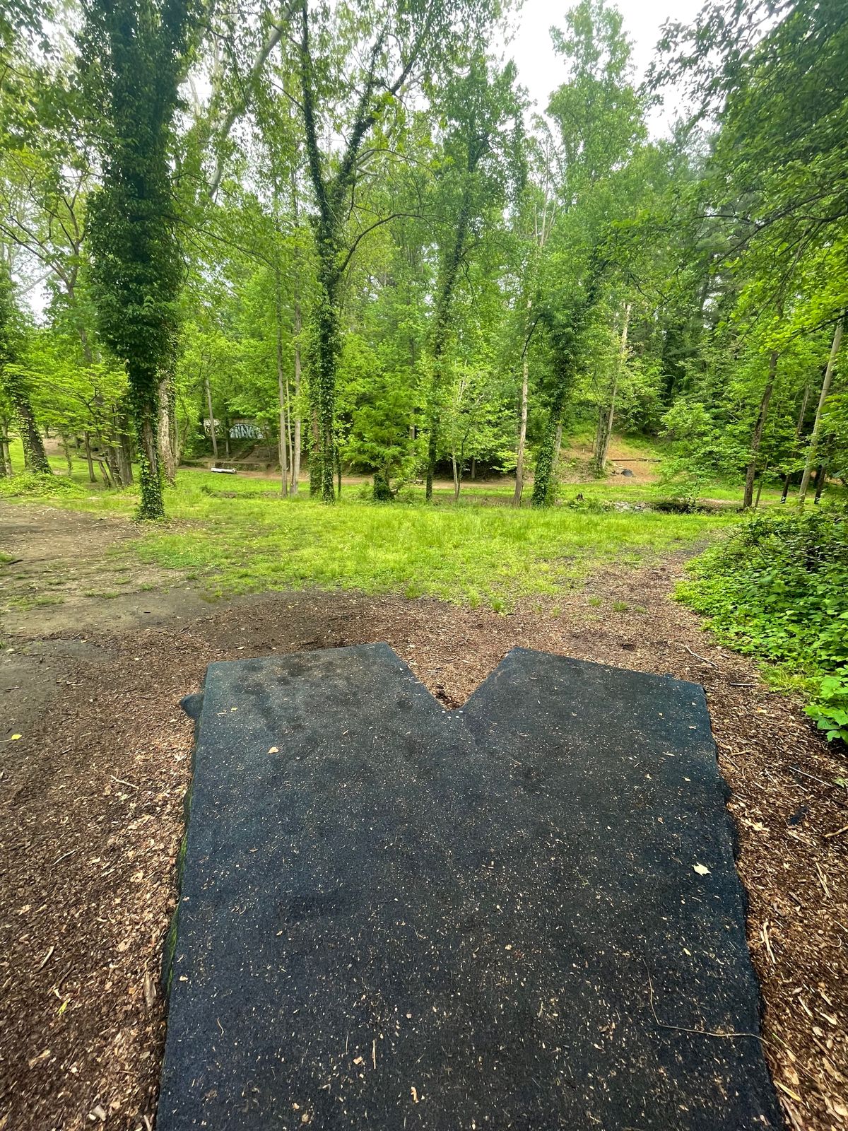 Tee box on 5… very confusing