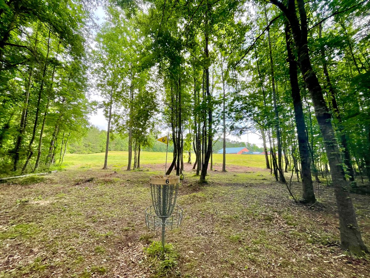 Hole 6 long- across road about 100’ into woods