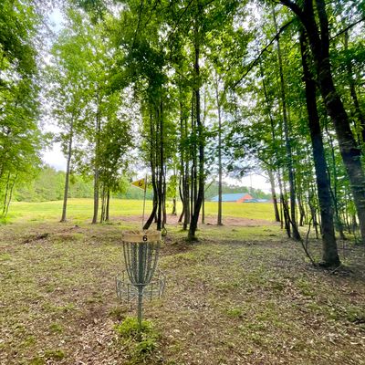 Hole 6 long- across road about 100’ into woods