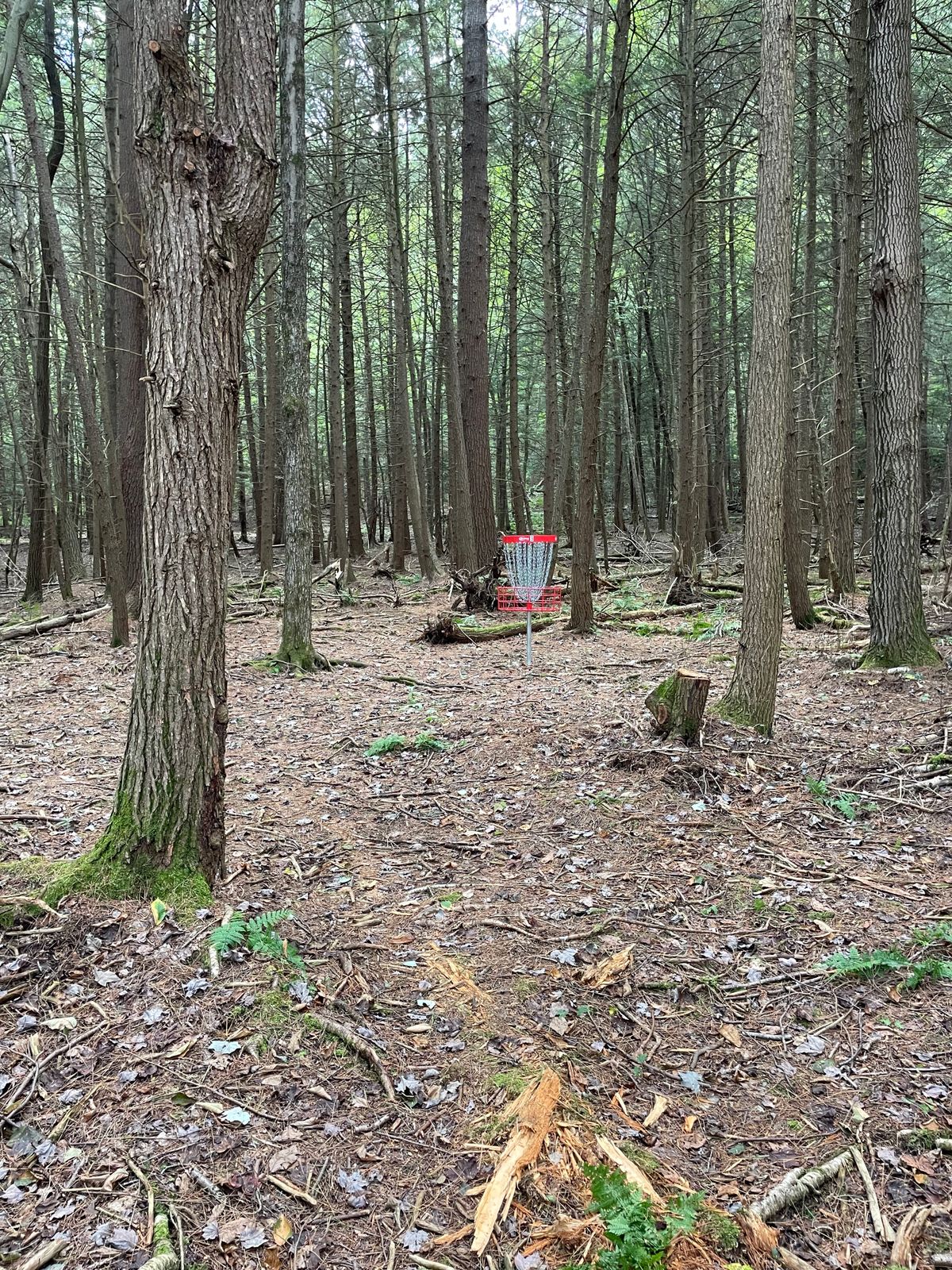 Hole #3