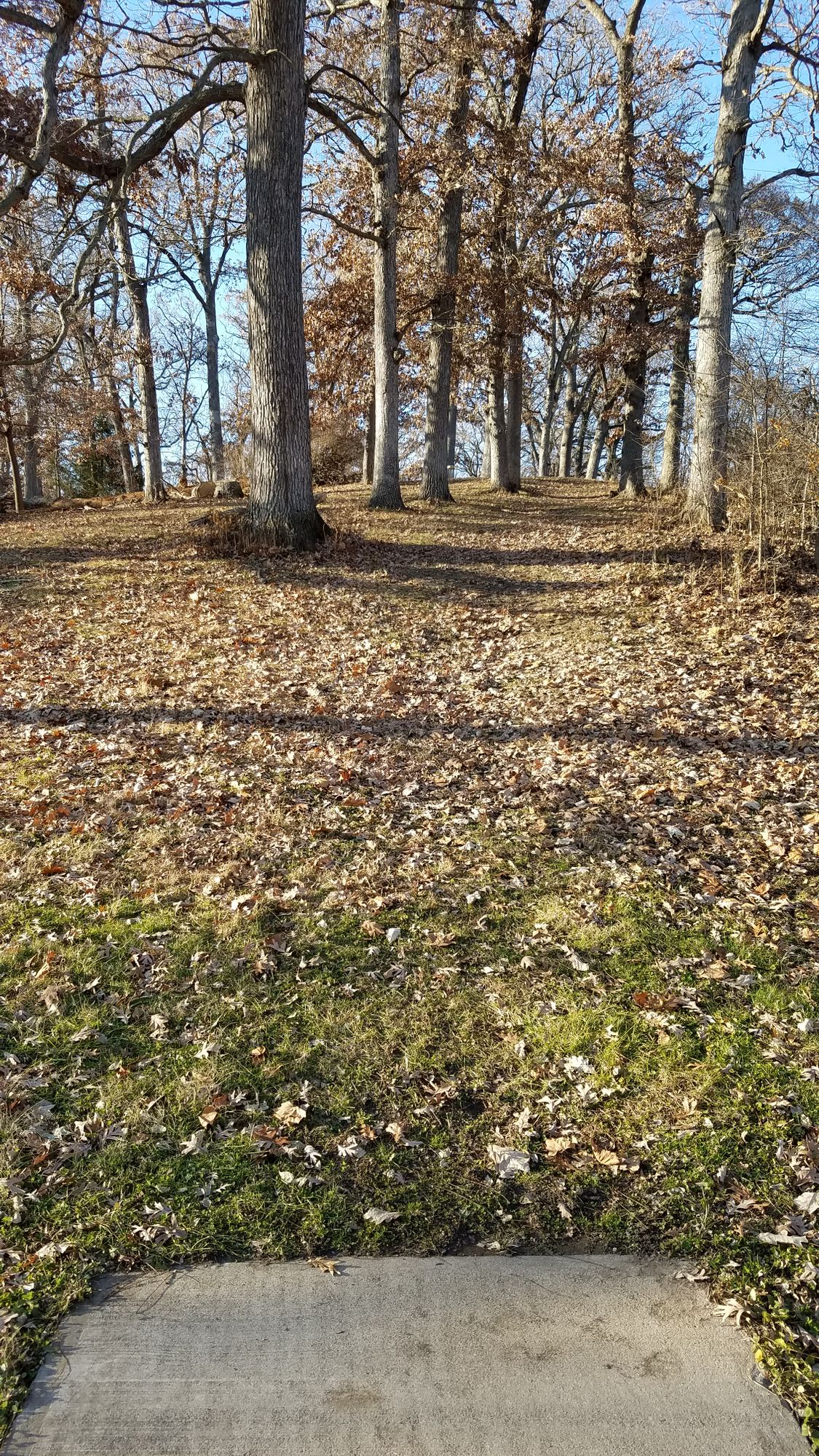 Teepad on #9. The basket is at the top of the hill.