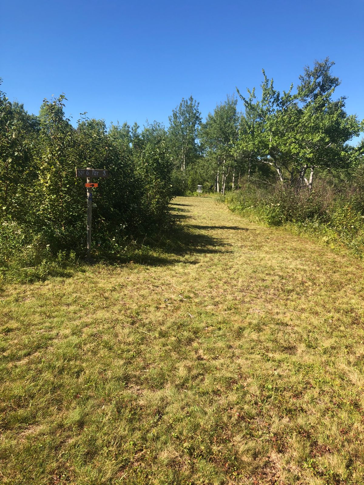 Hole 6