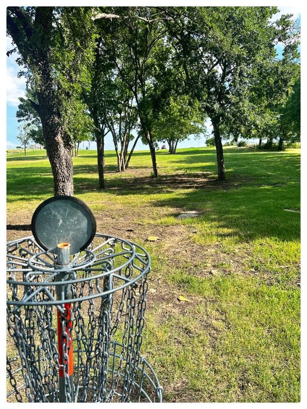 1 basket looking S