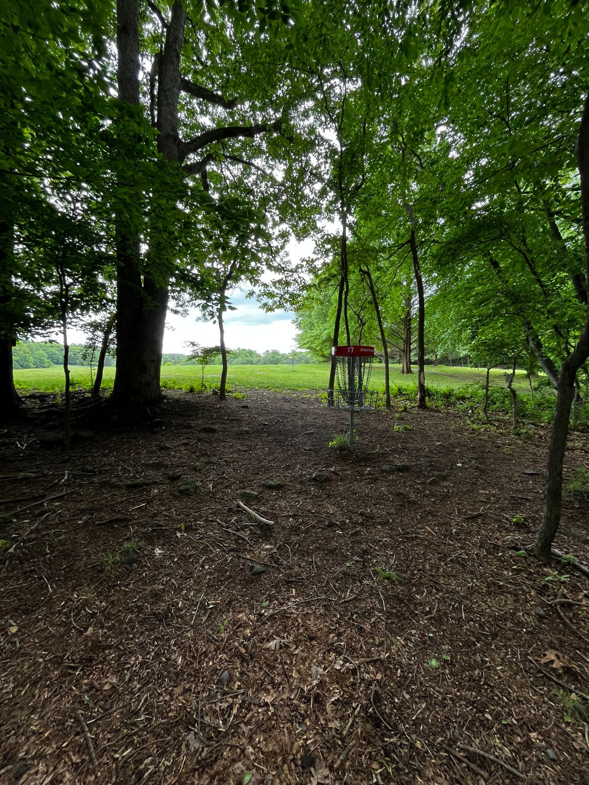 Hole 17 red green