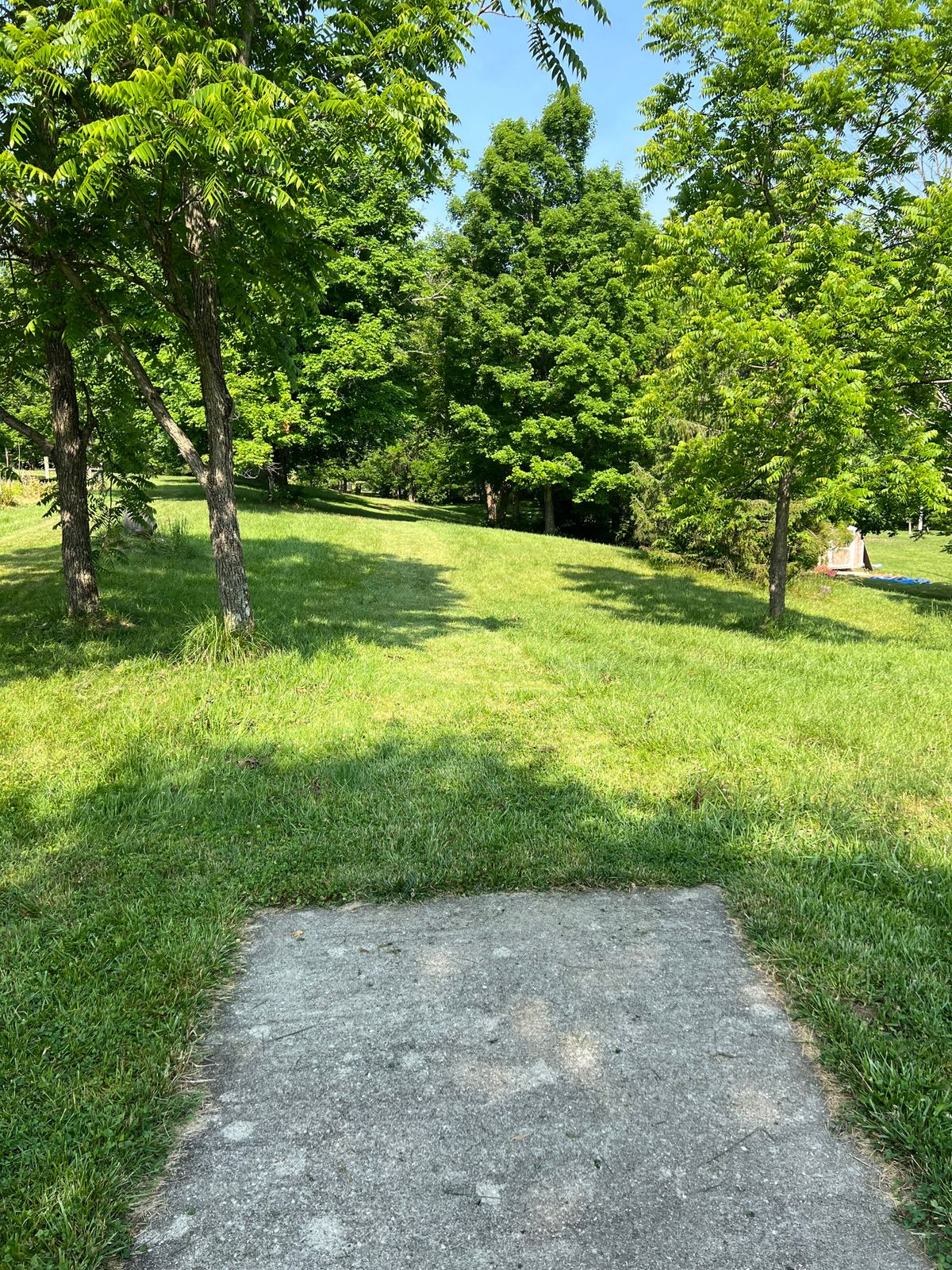 Hole 3 - low ceiling shot with the short placement down to the right, long position is across a small creek with danger of a larger creek to right of basket.