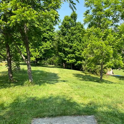 Hole 3 - low ceiling shot with the short placement down to the right, long position is across a small creek with danger of a larger creek to right of basket.