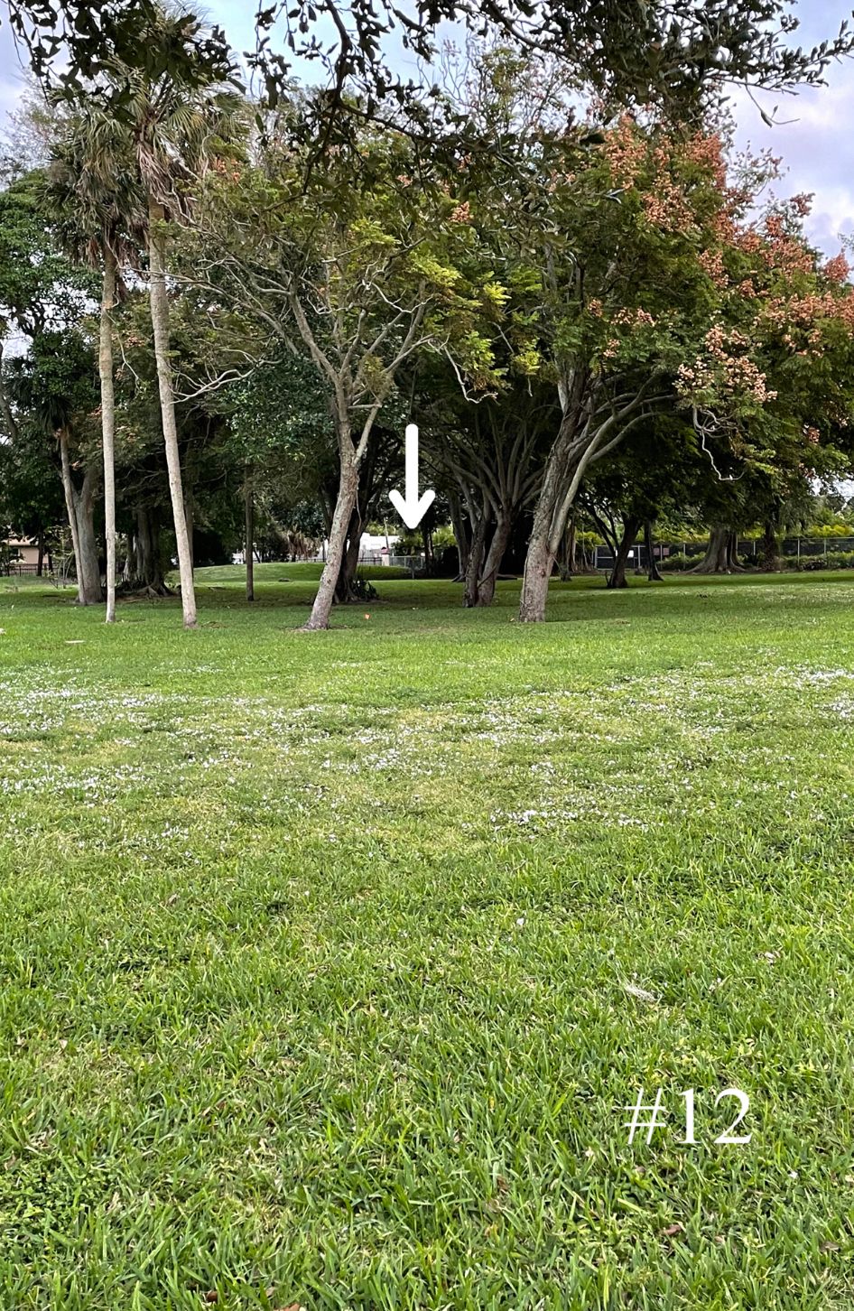 Hole 12, Long Tee