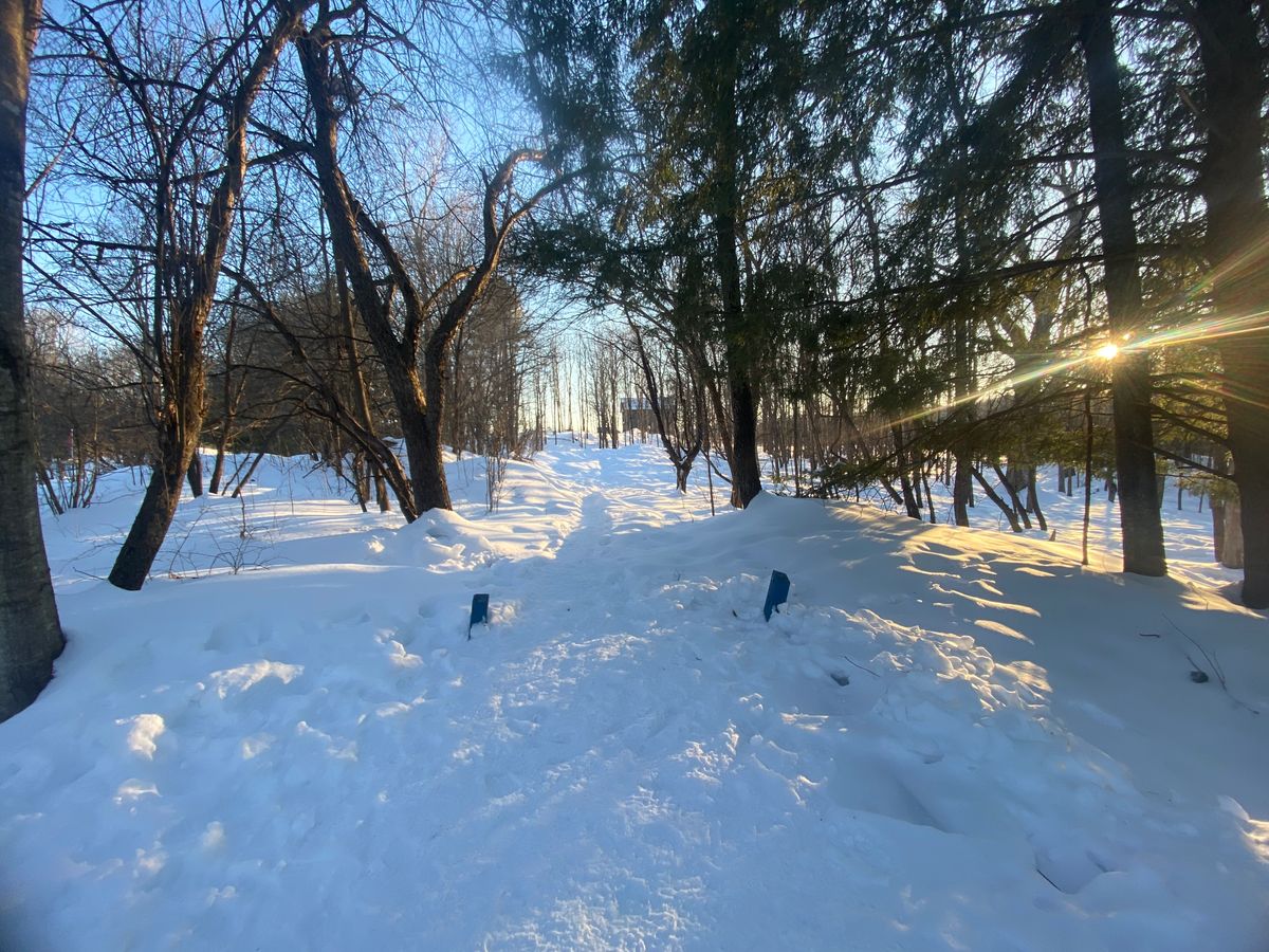 Hole 15 blue tees