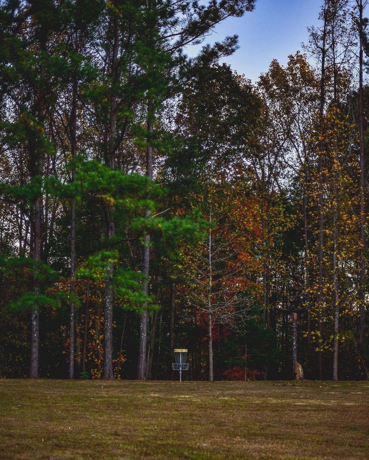 Hole 11 from above
