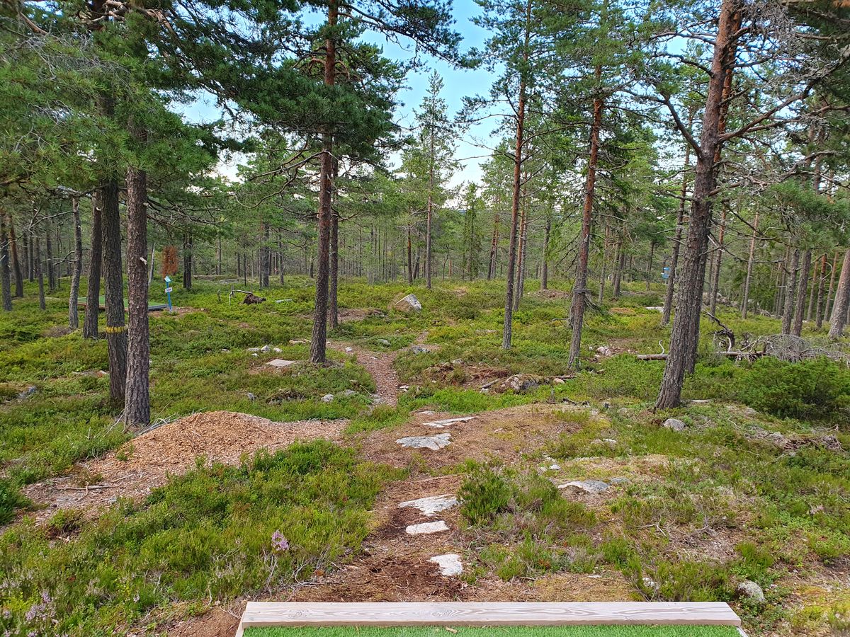 Hål 1 (utkast 3 syns till vänster)