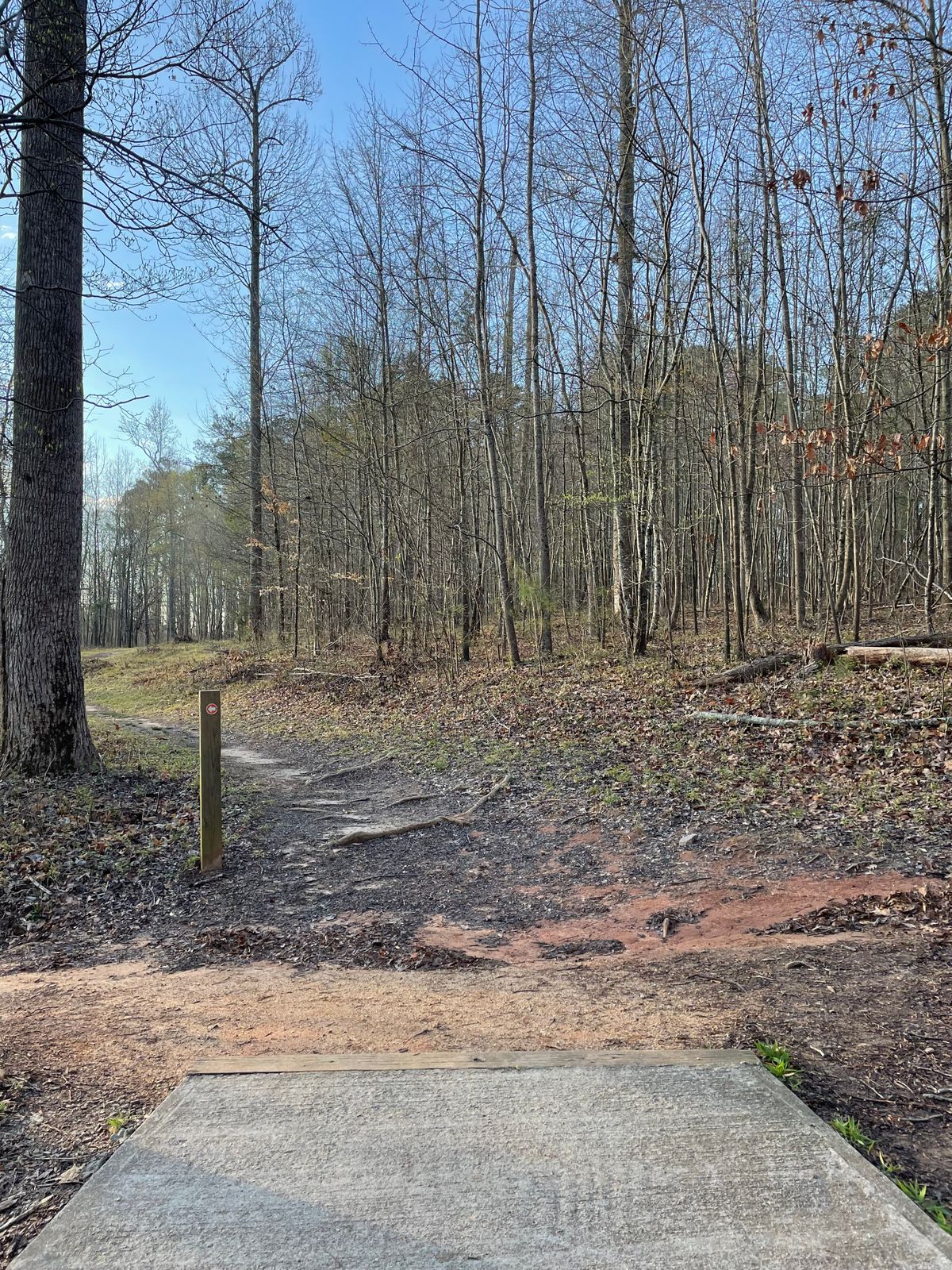 View from #12 tee pad. It’s around the left side of the trees. Walking path goes through here