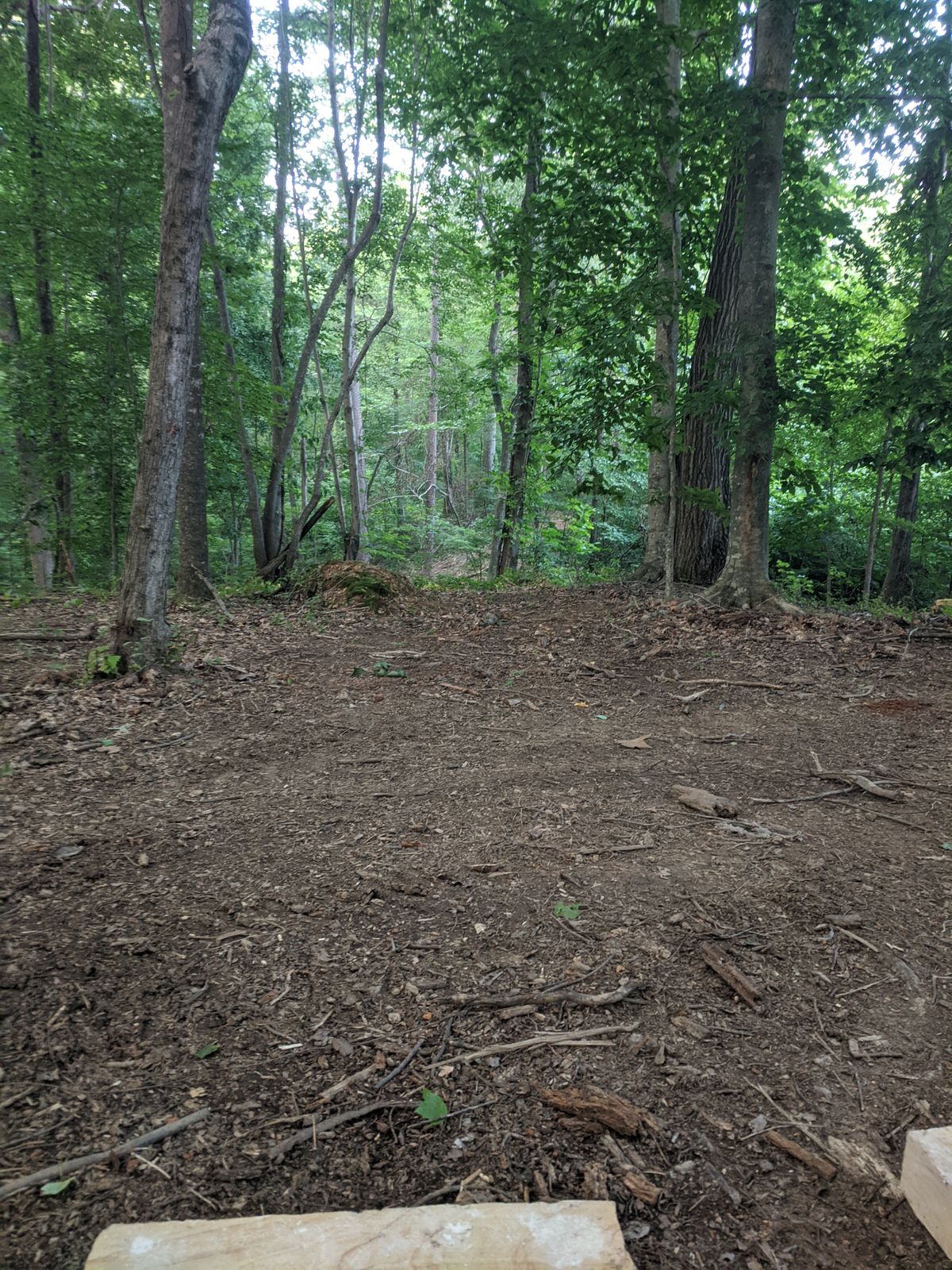 #11 signature ridge to ridge