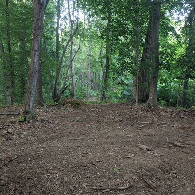 #11 signature ridge to ridge