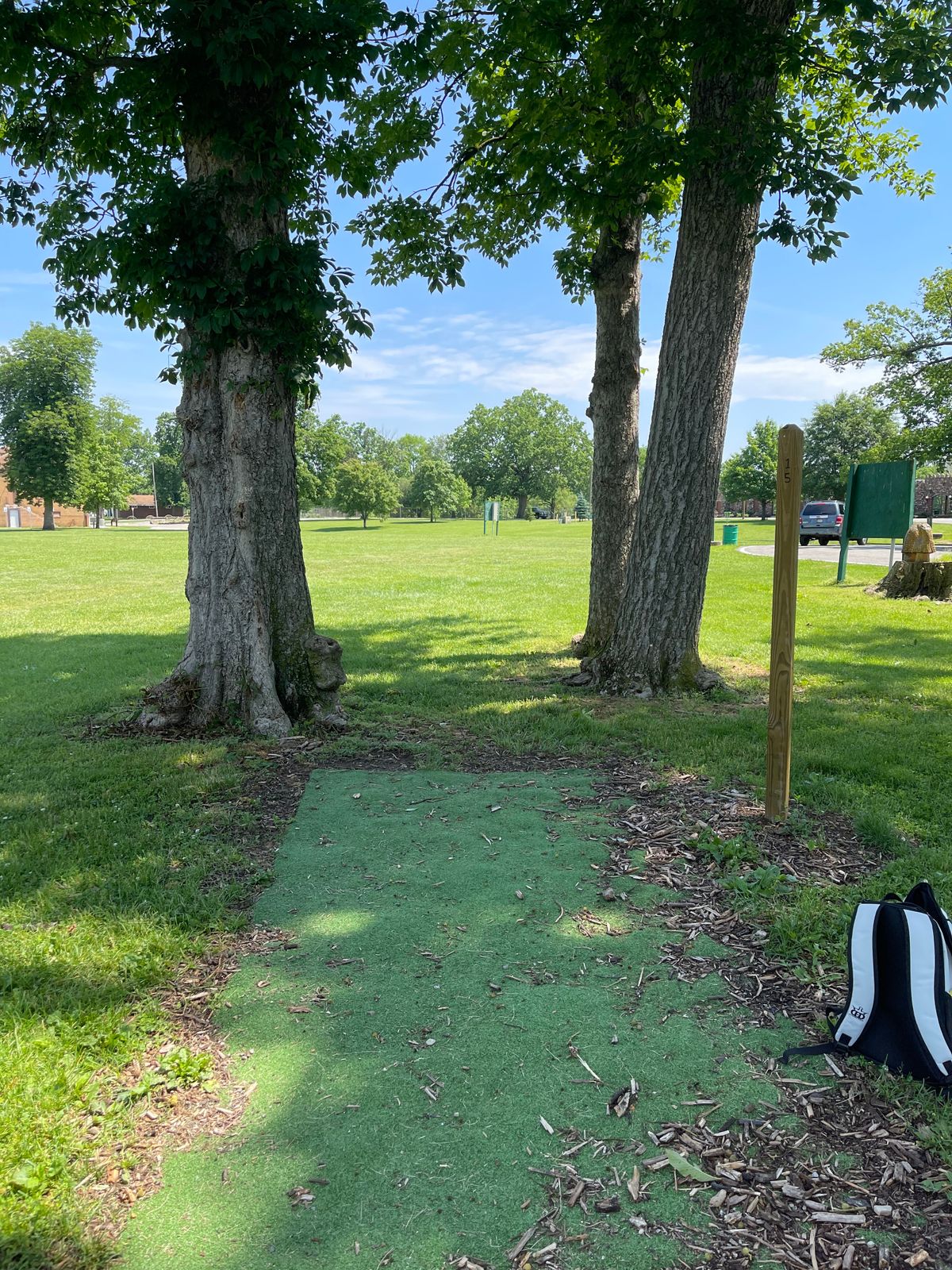 Hole 15