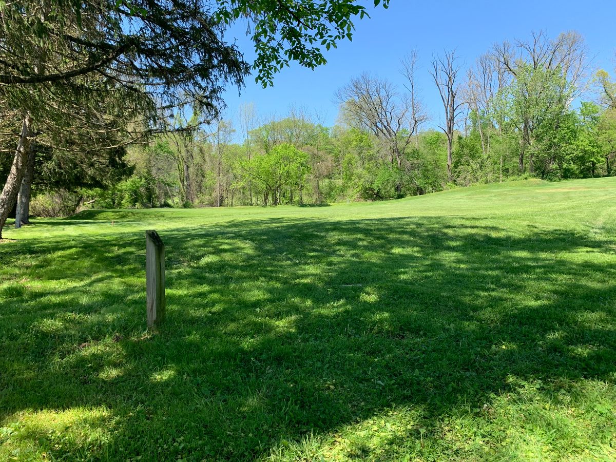 Hole 4 tee. Par 3. Basket is straight ahead. Small hump directly behind basket.