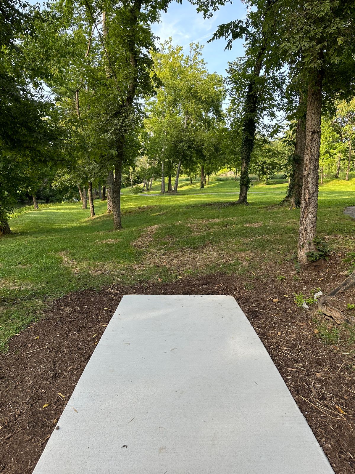Hole 13 tee