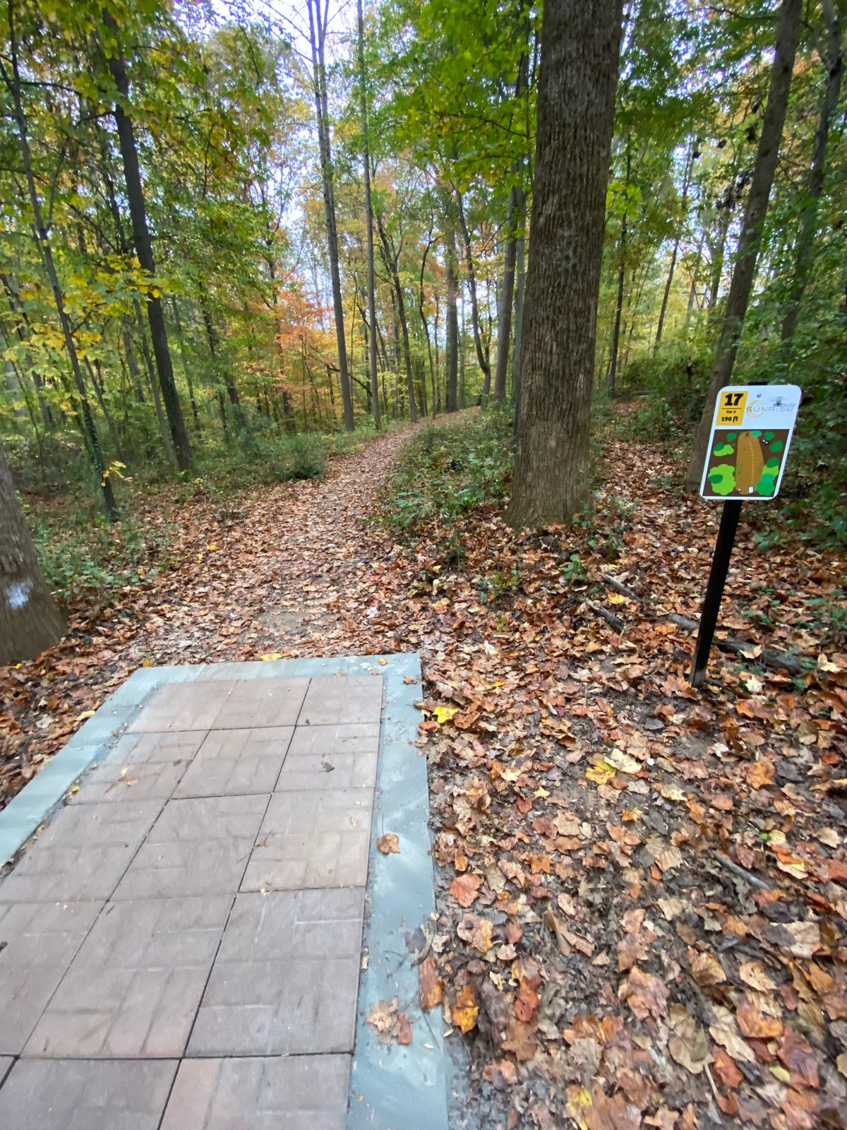 Hole 17