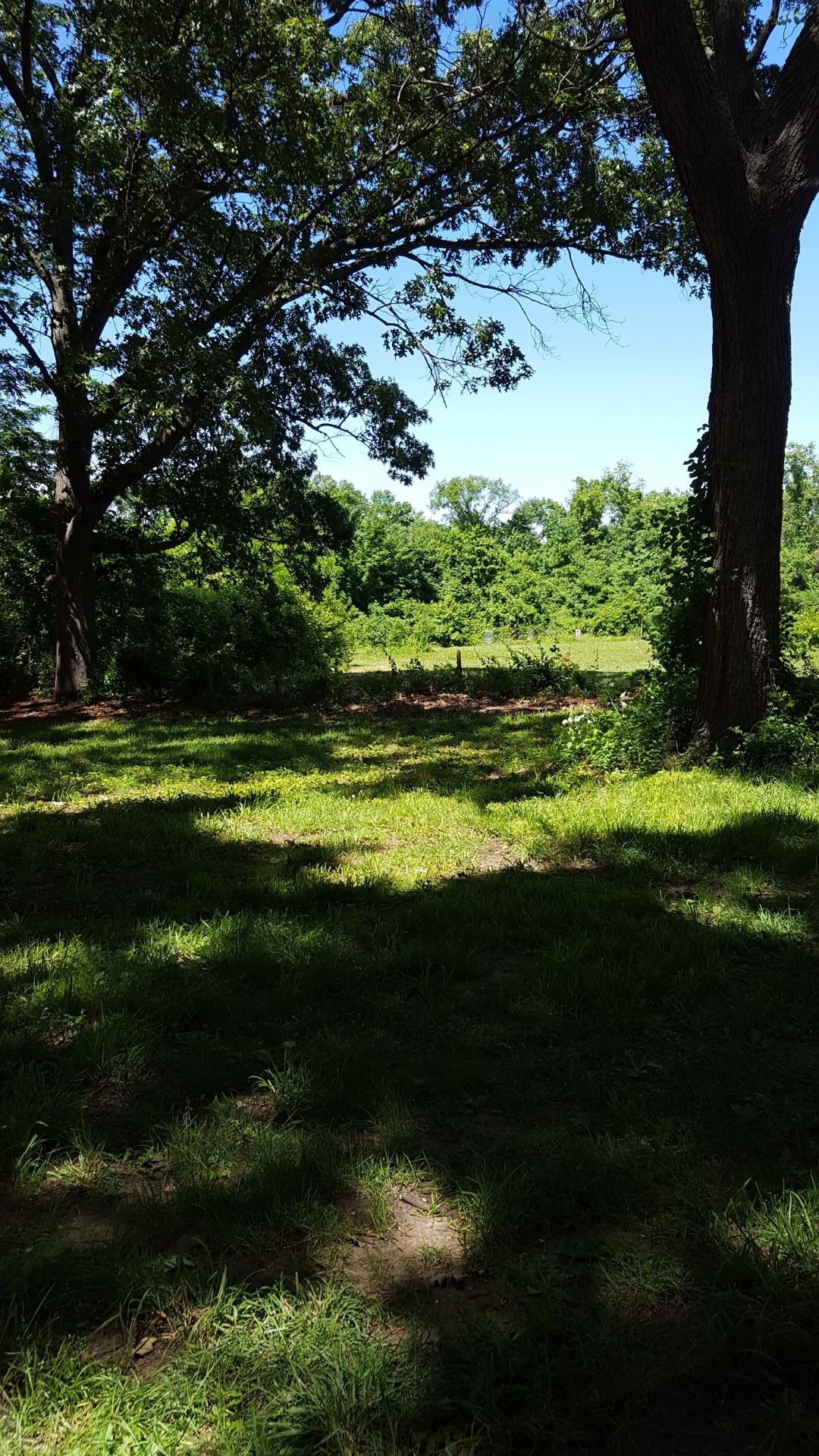 Wolf Hill, Tee shot #9