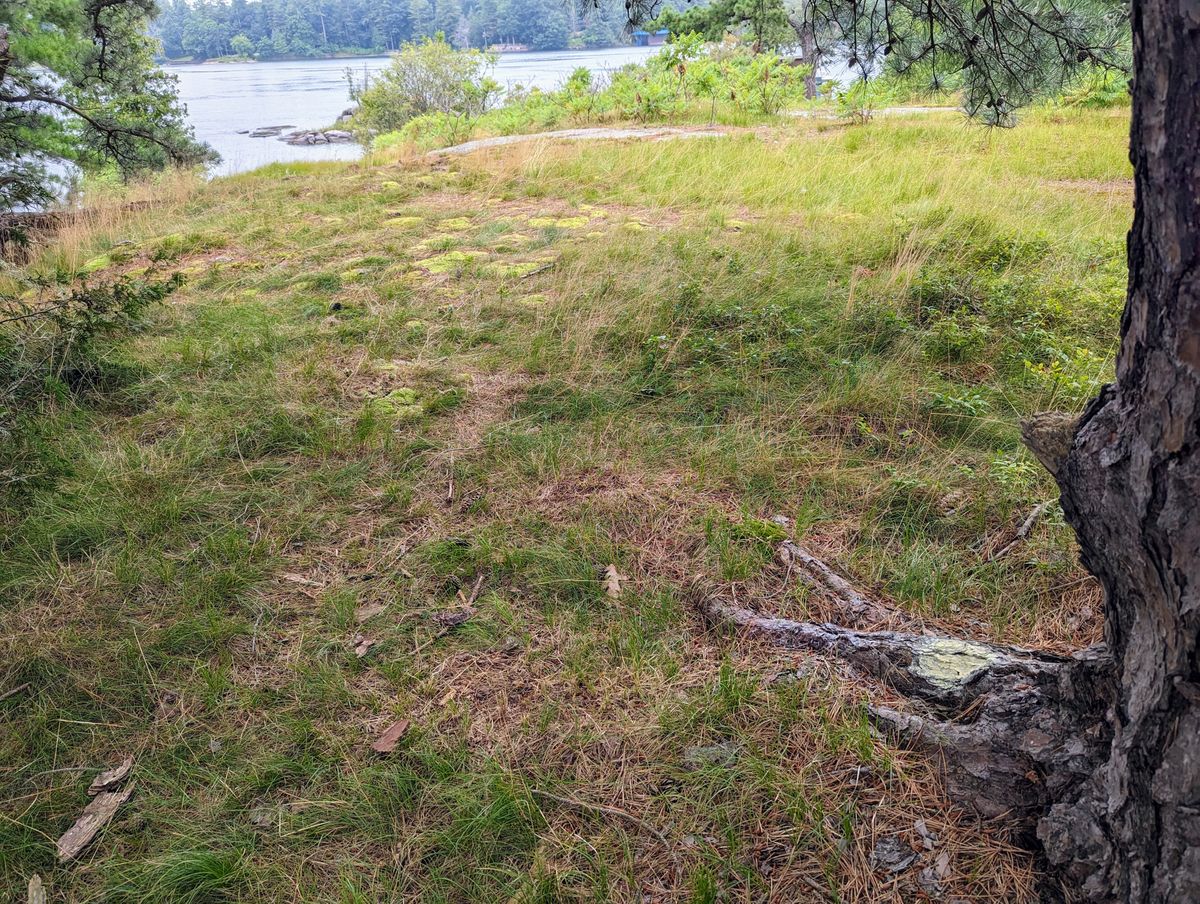 Tee 4 location for regular daily play.