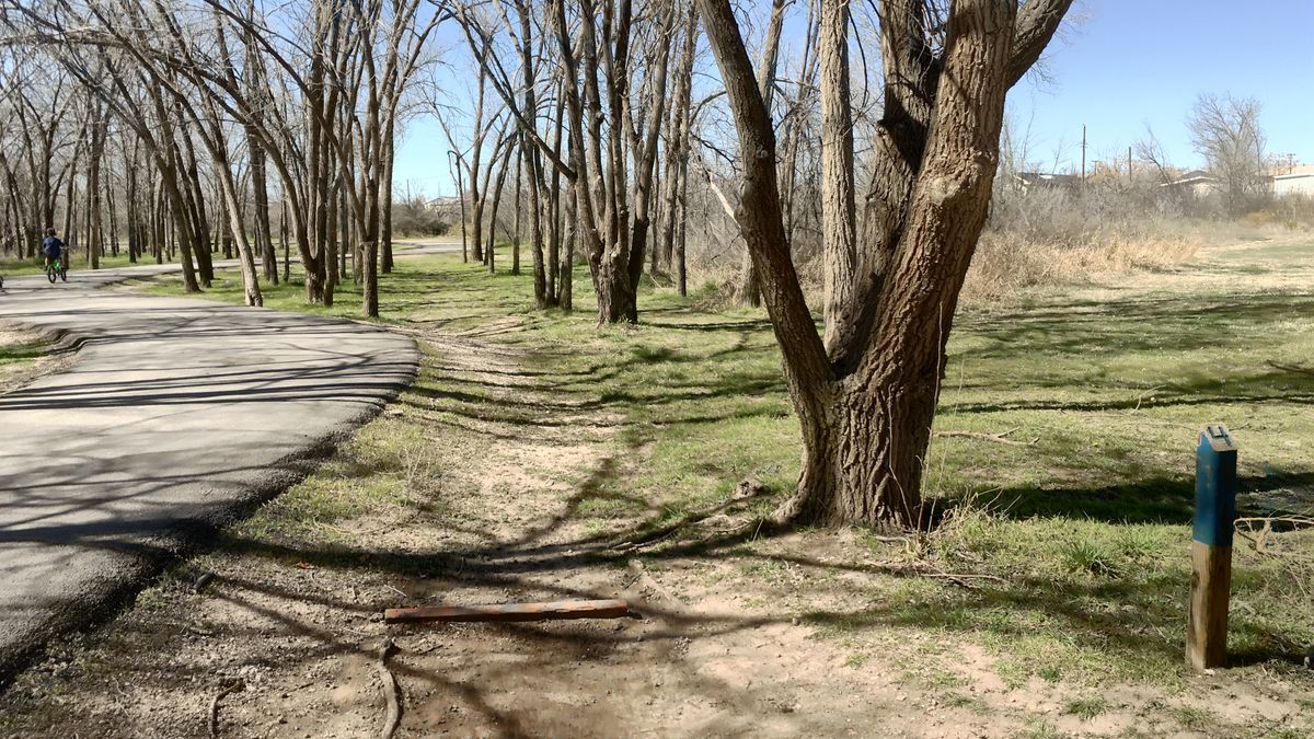 Hole 4