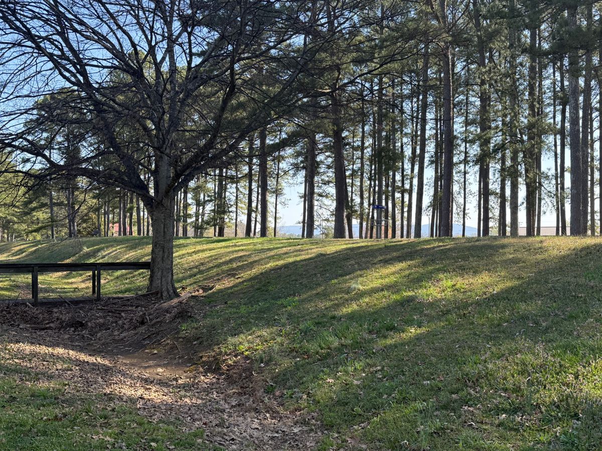 Hole 13 basket on the hilltop