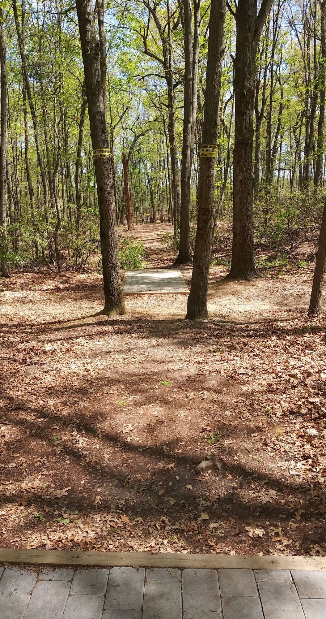 Thread the needle. Hole 9