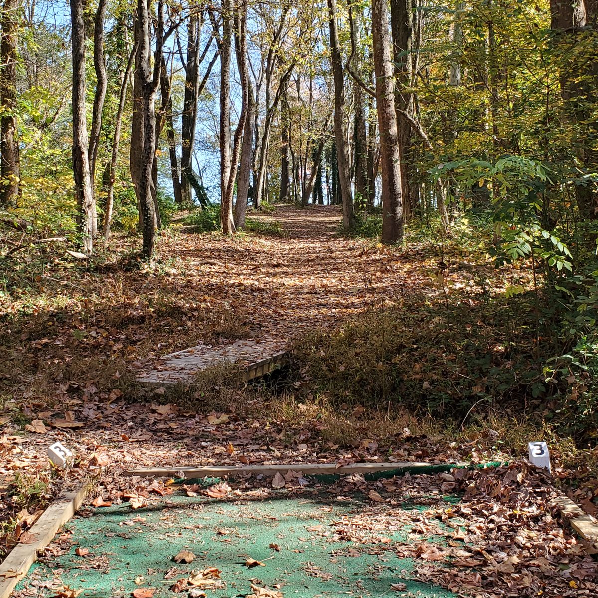 Looking out to 3rd basket, off to right. Nov 9, 2020.
