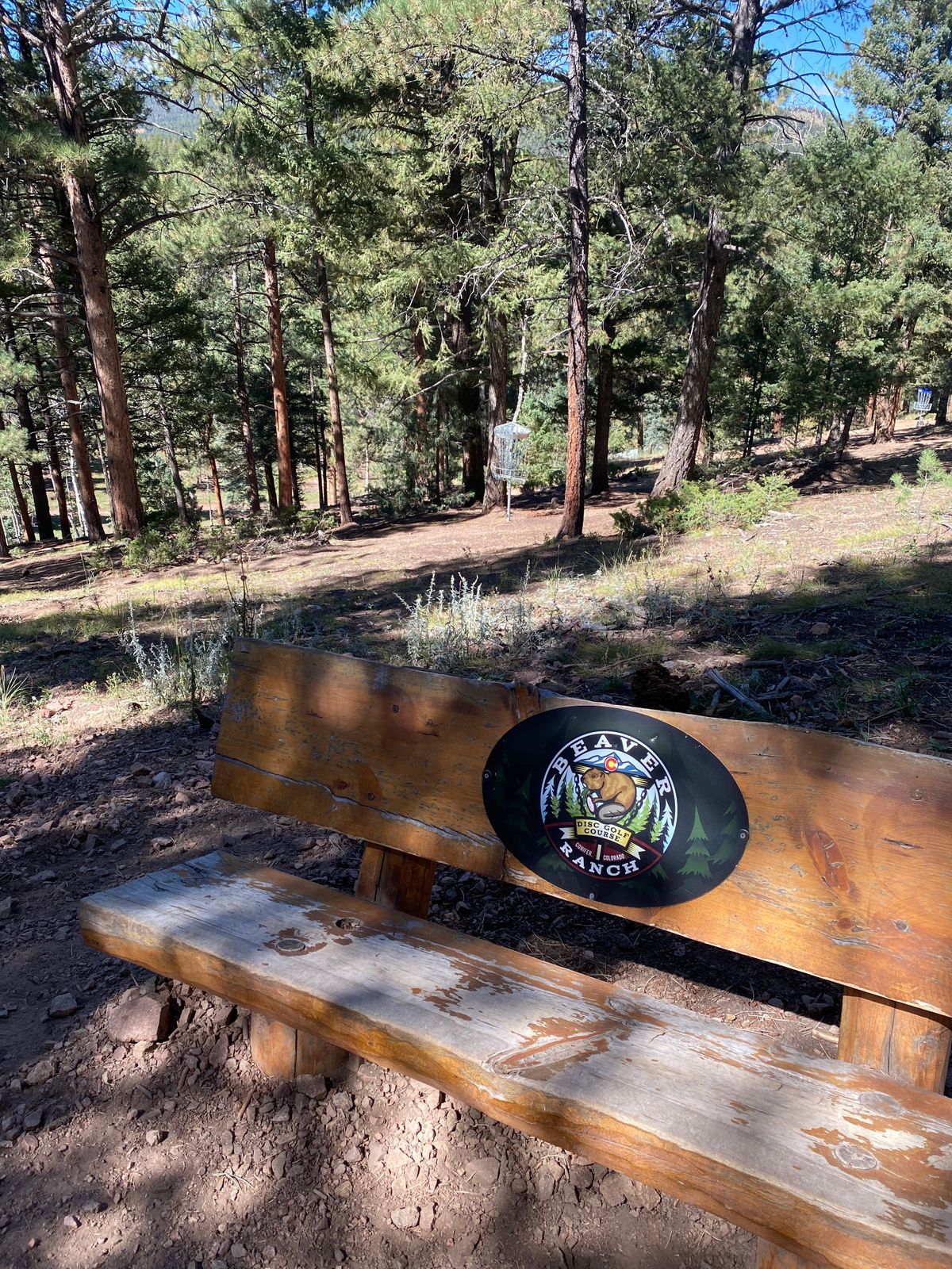 Beautiful benches