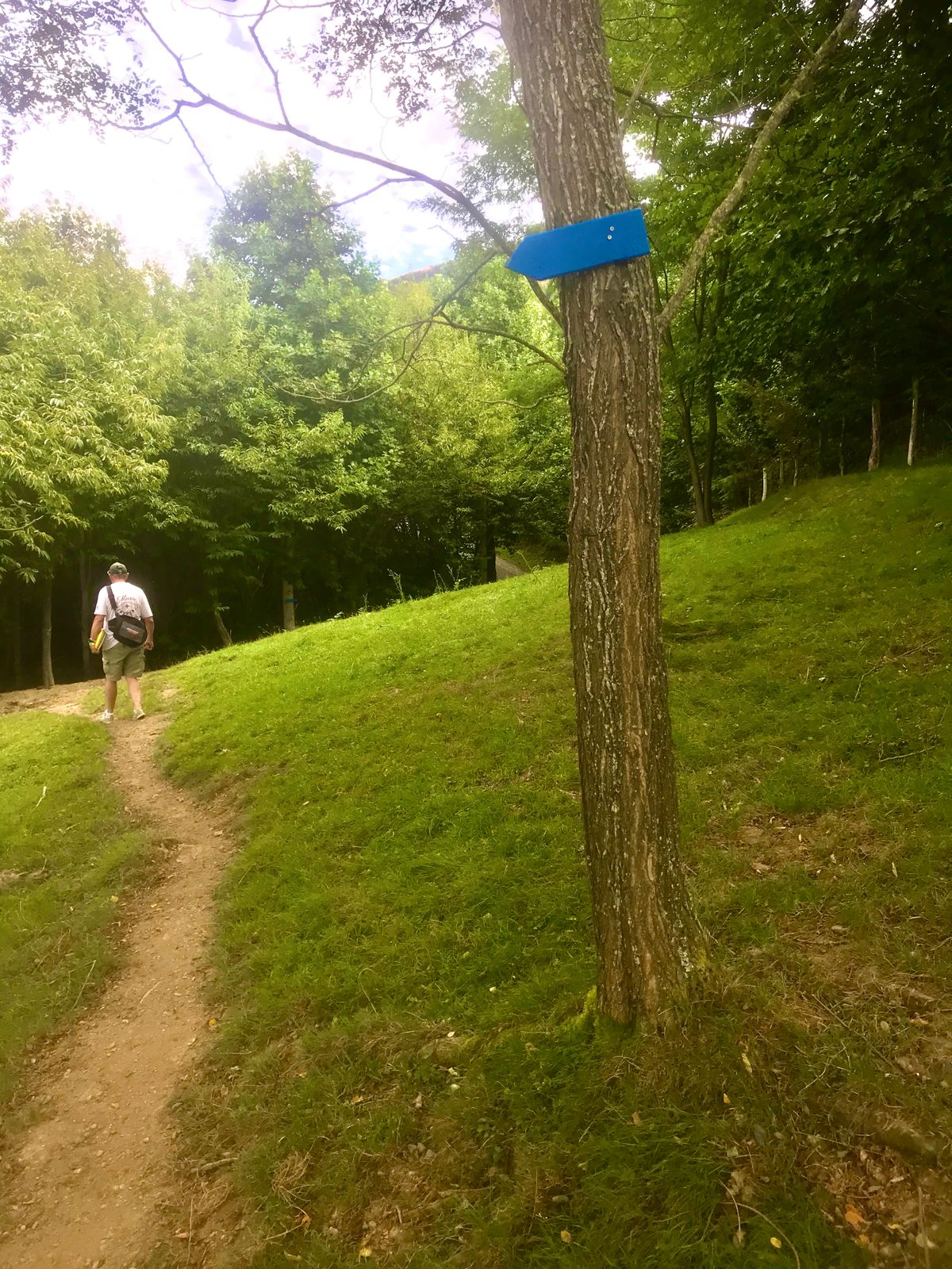 #10 to #11. 5 minutes walk through the forest. Follow the arrows.