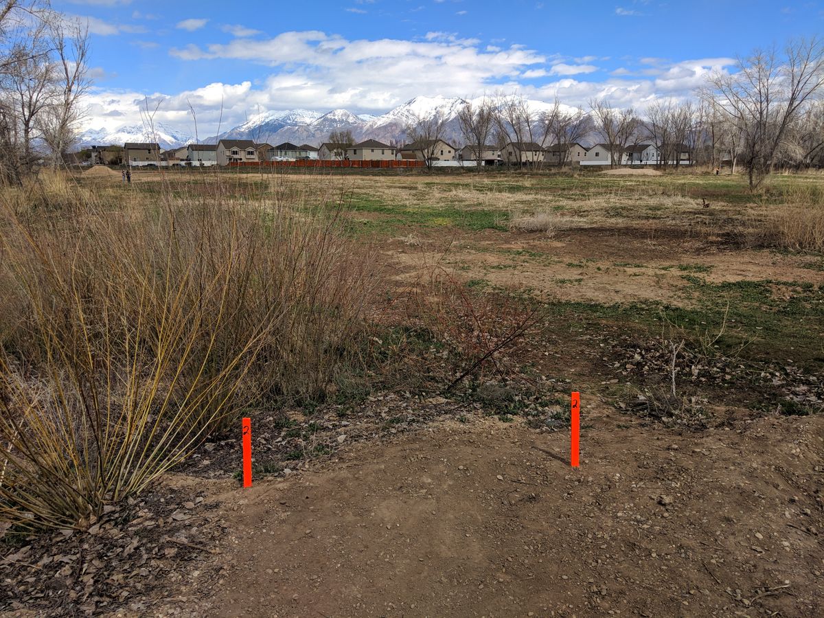 Hole #2 Tee