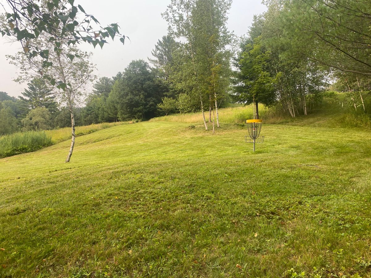Hole 15 Green