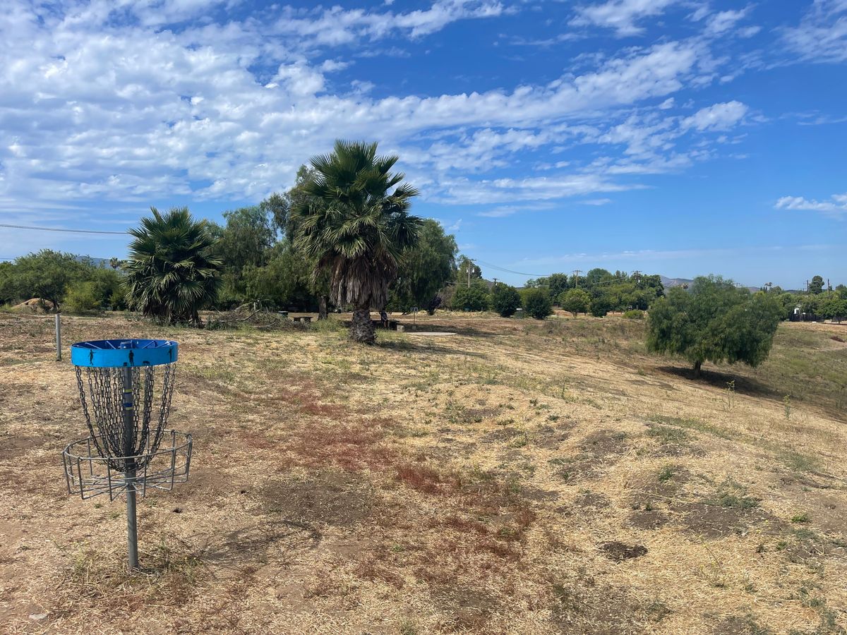 Blue basket hole 5 looking toward tee 6