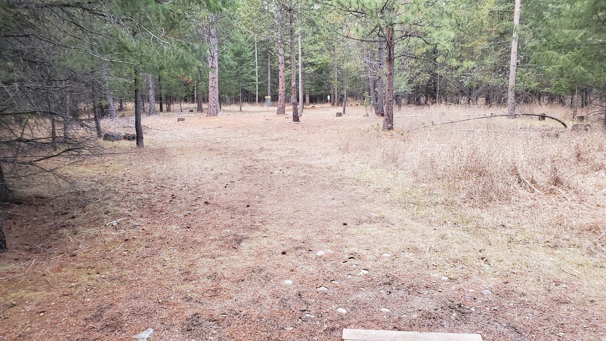 Tee pad hole 8