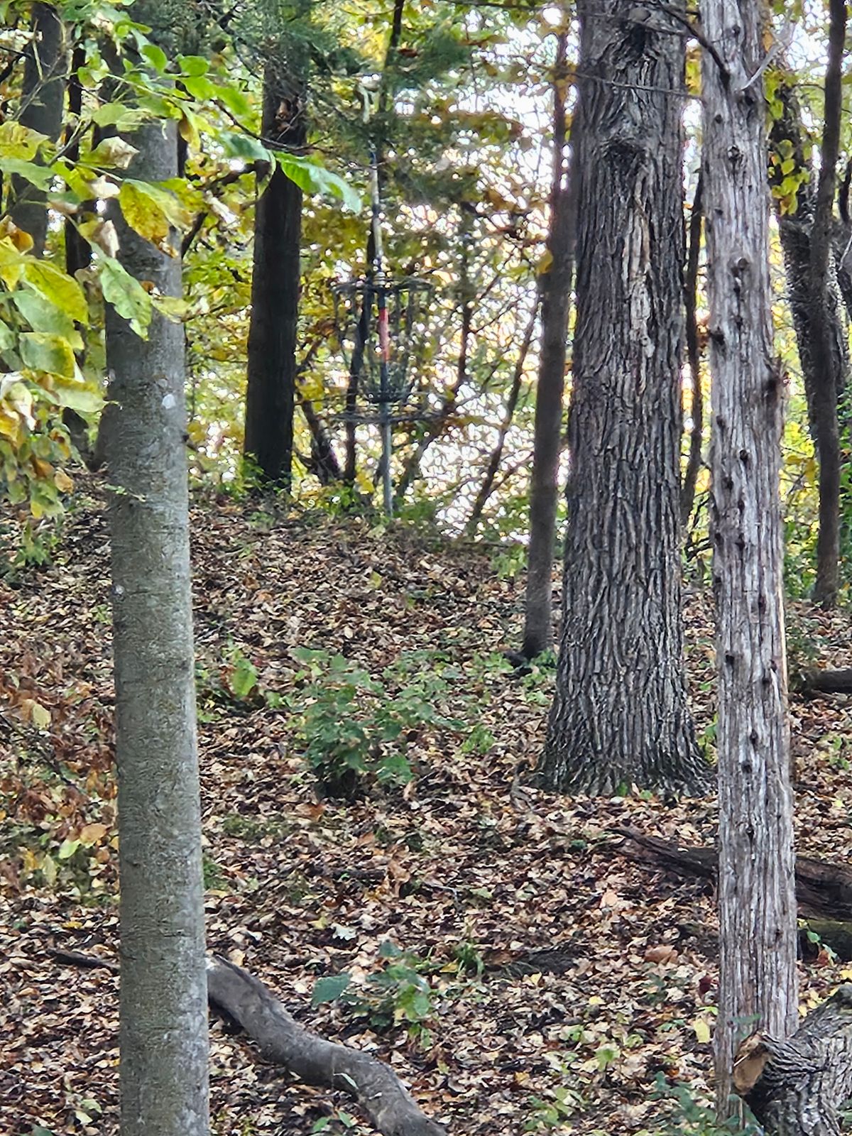 Hole 2 baskethole 3