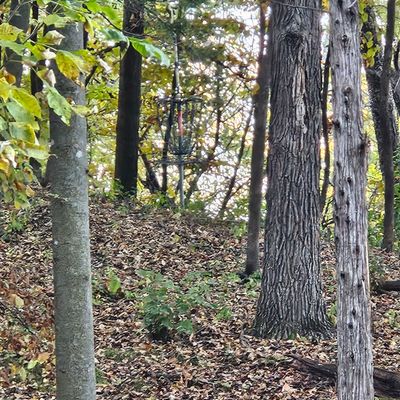 Hole 2 baskethole 3