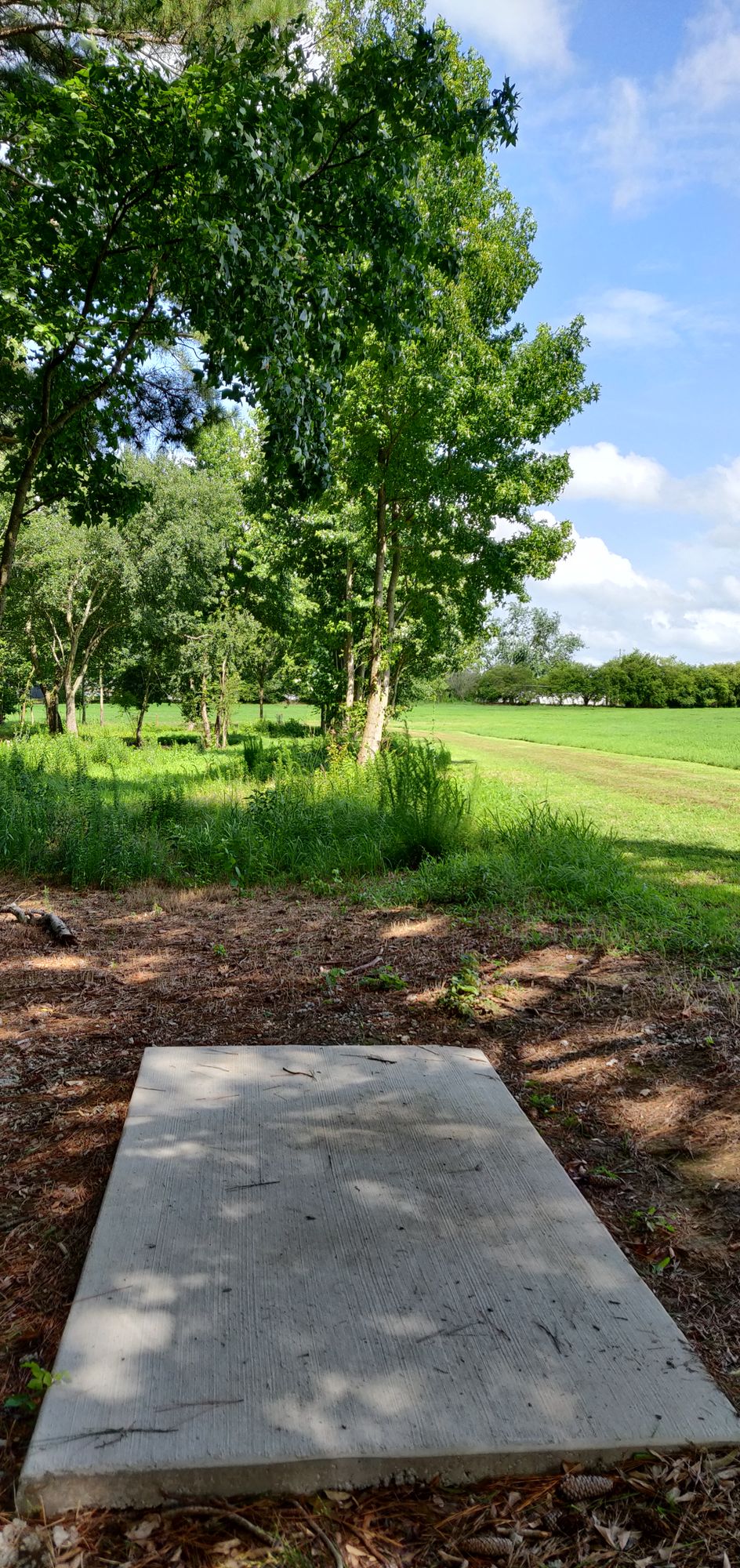Hole 5 Tee