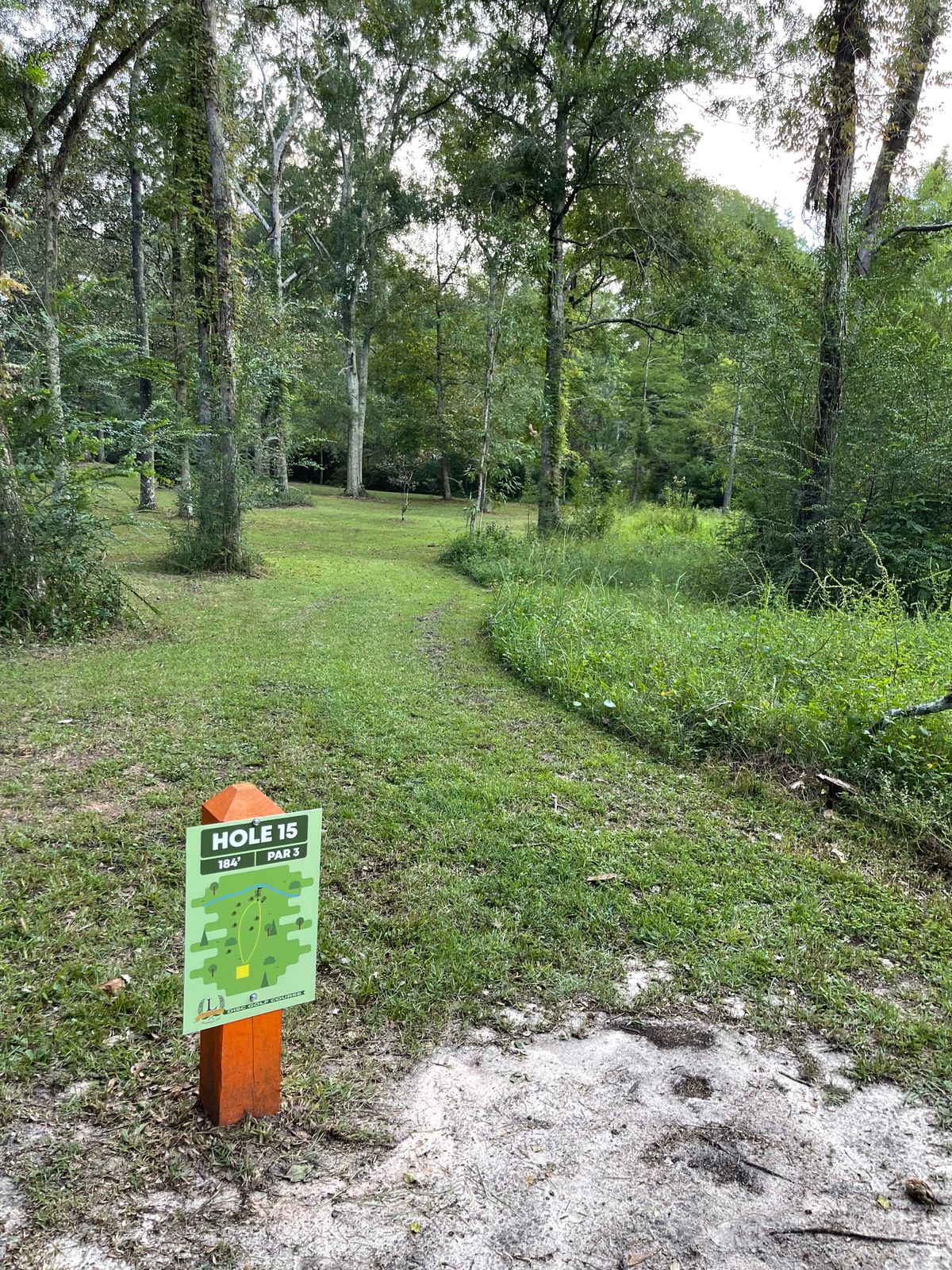 Hole 15
