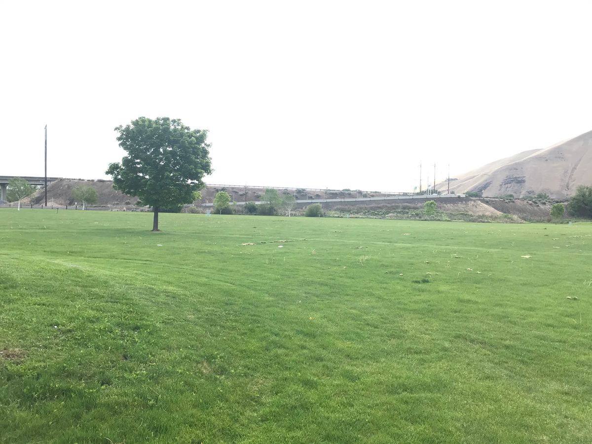 Hole 1 looking out at the park.
