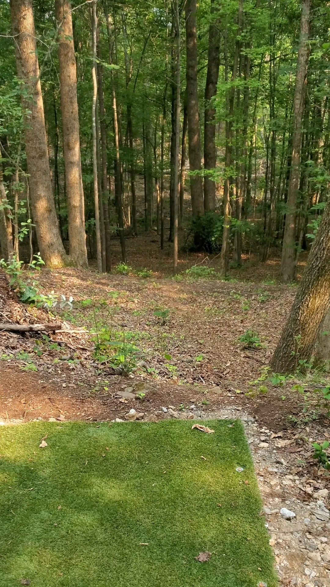 Hole 4