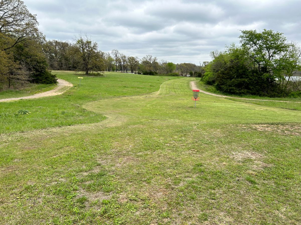Hole 10 looking from basket to tee