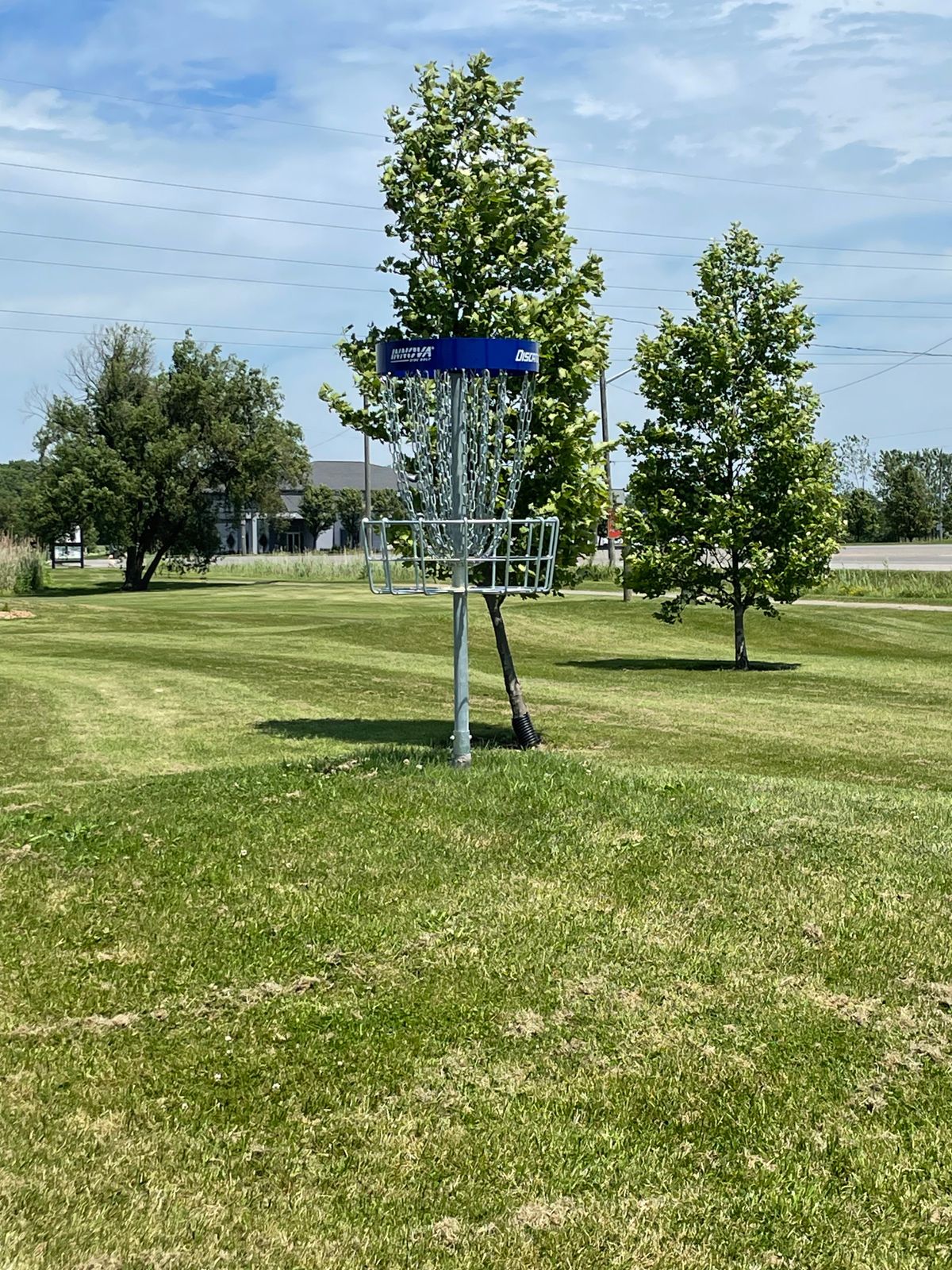 Hole 8 basket