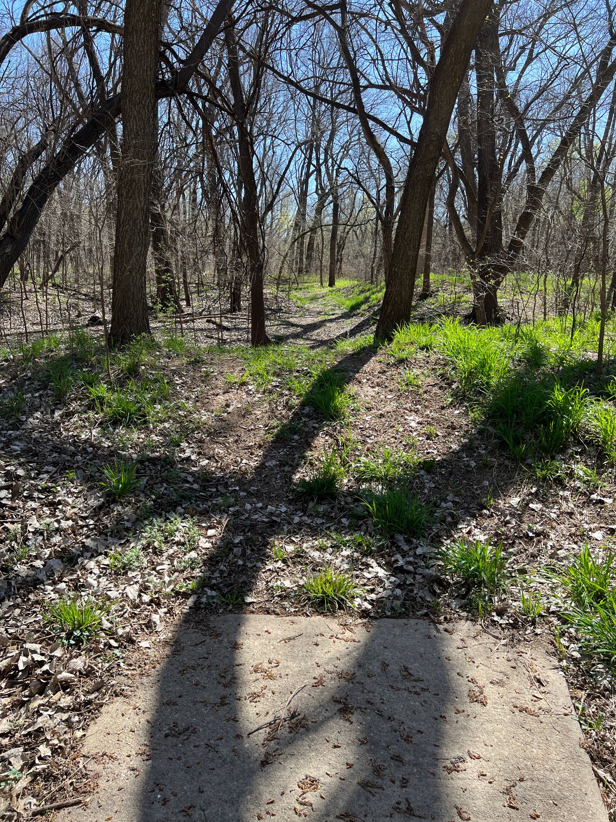 Hole 7
