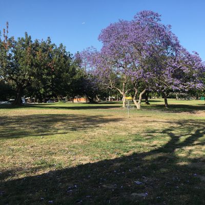 Hole 7 (May 2021)