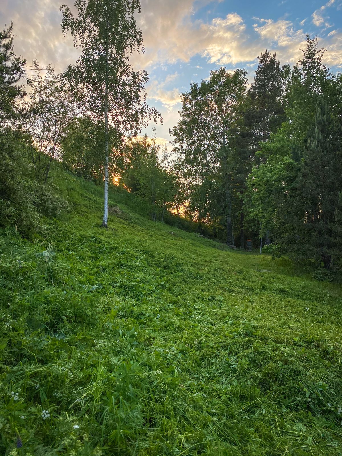 Hole 16