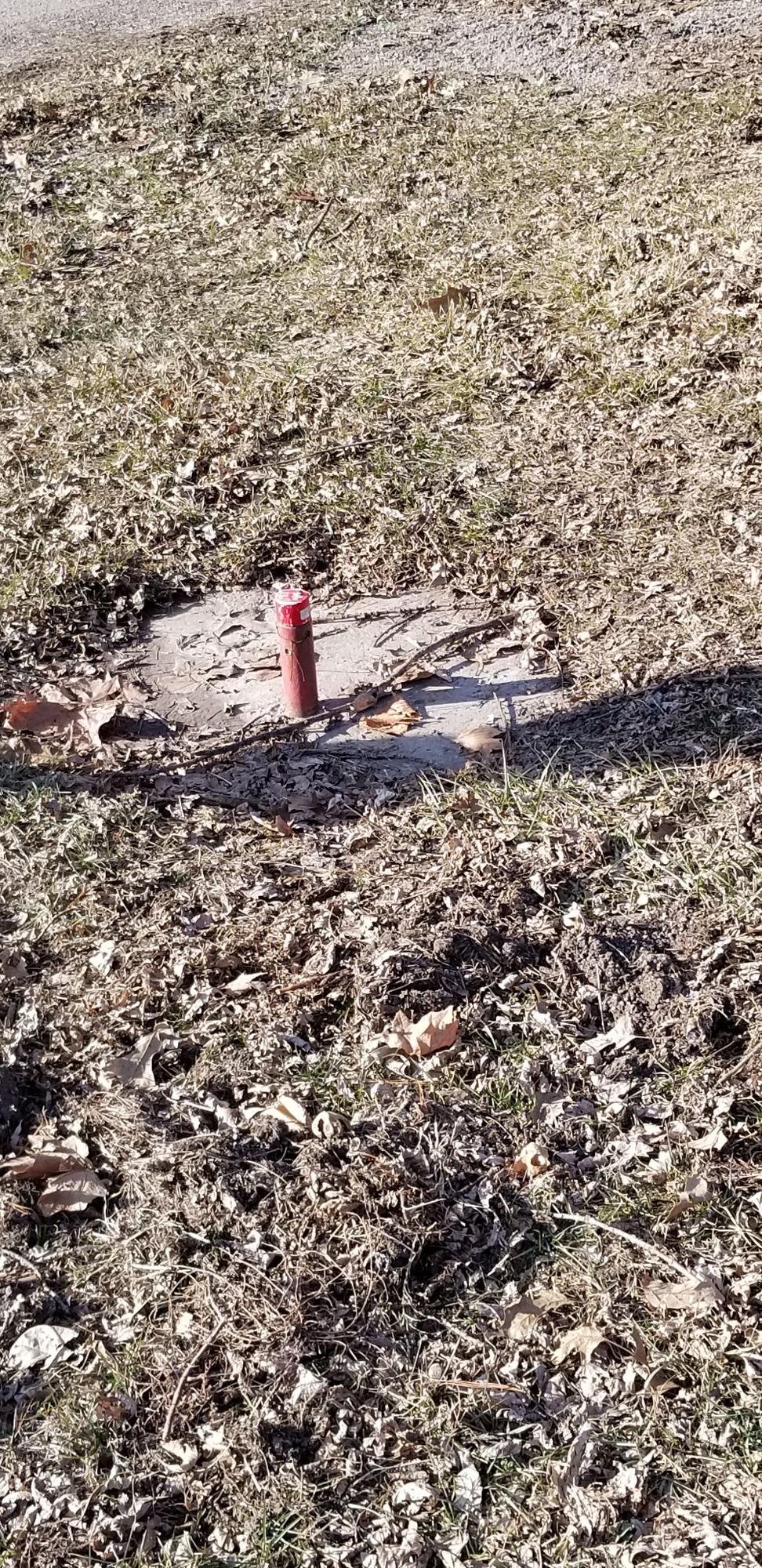 Found a few of these where baskets should be.
