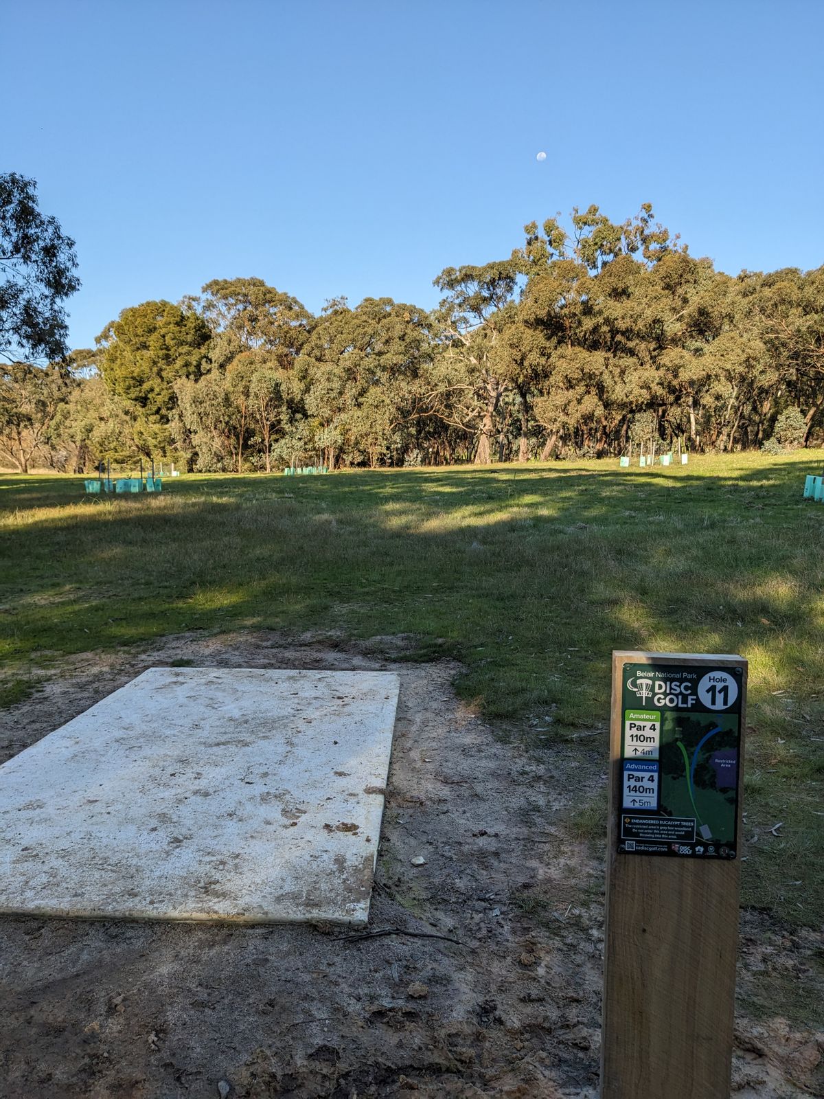 Hole 11