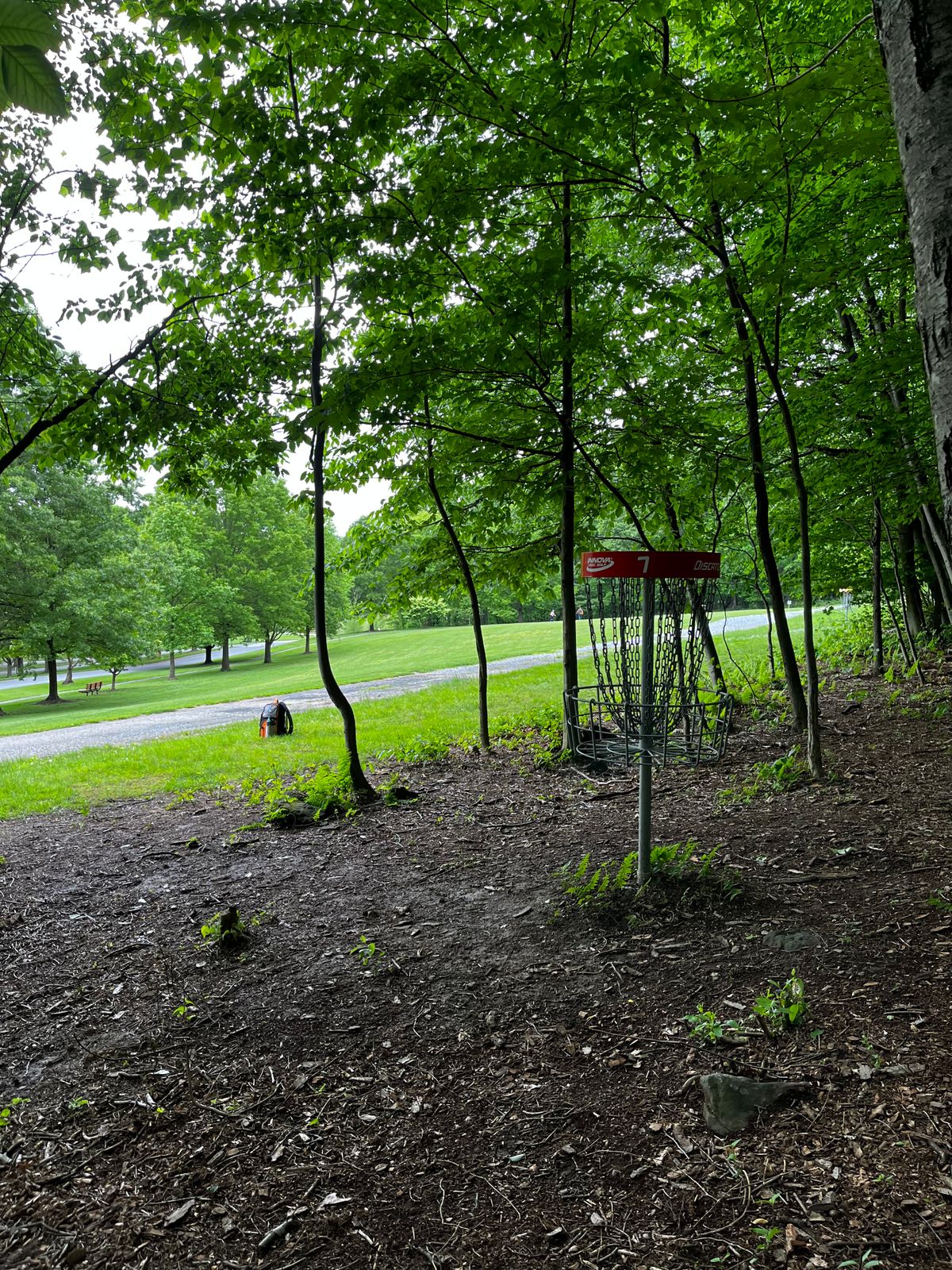 Hole 7 red green
