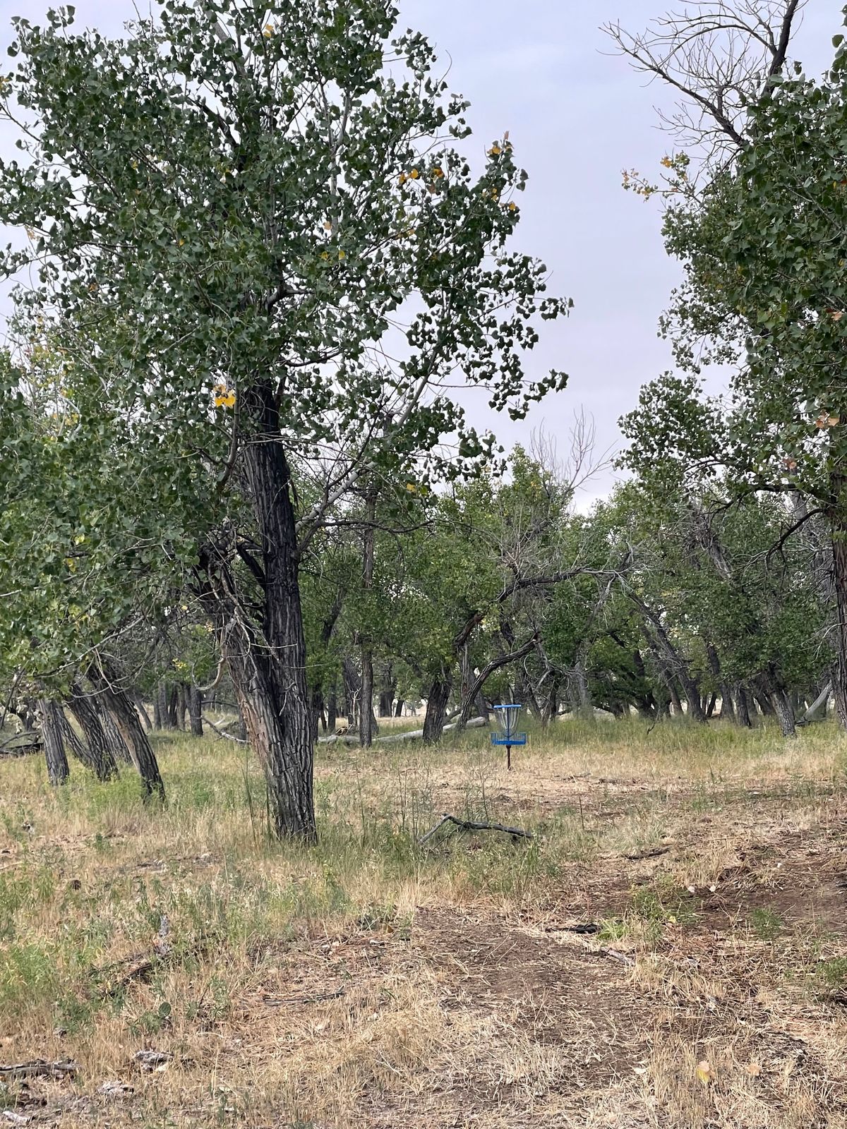 Hole 2